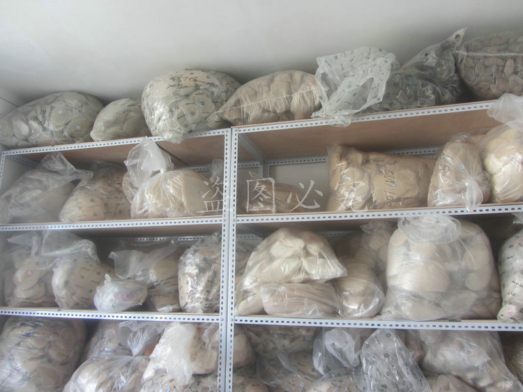 A001菩提叶脉 (9)