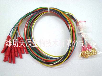 盤狀電療腦電線 拷貝