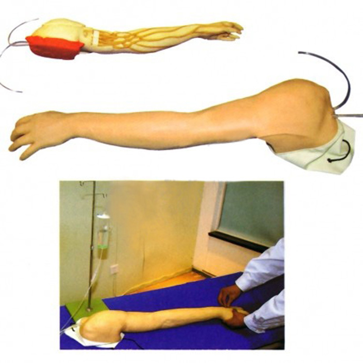 全功能完整静脉穿刺及注射训练手臂模型 