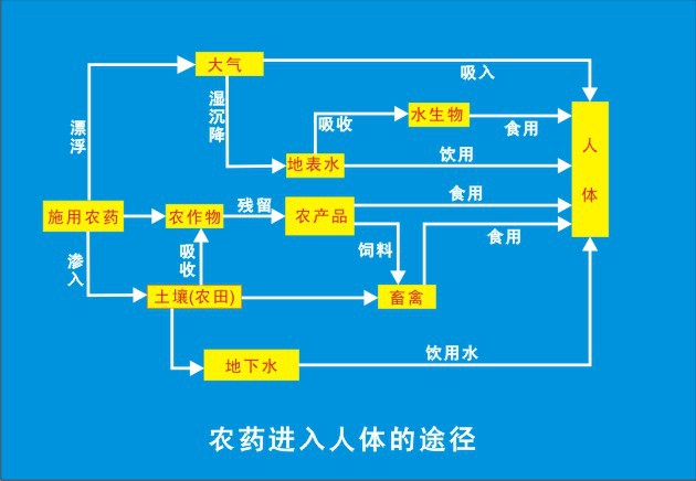 農藥如何進入體內