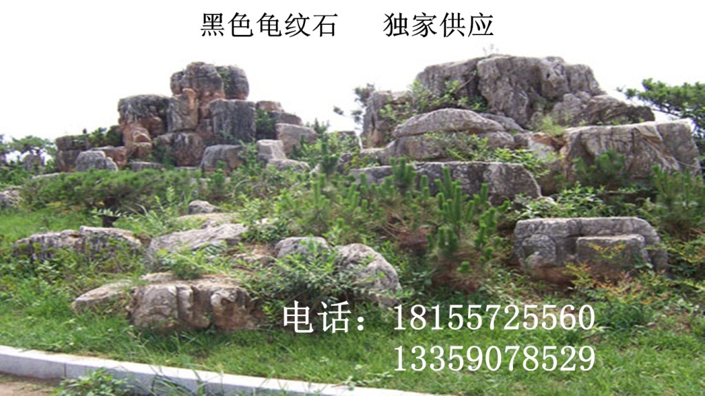 20113141320215592_副本