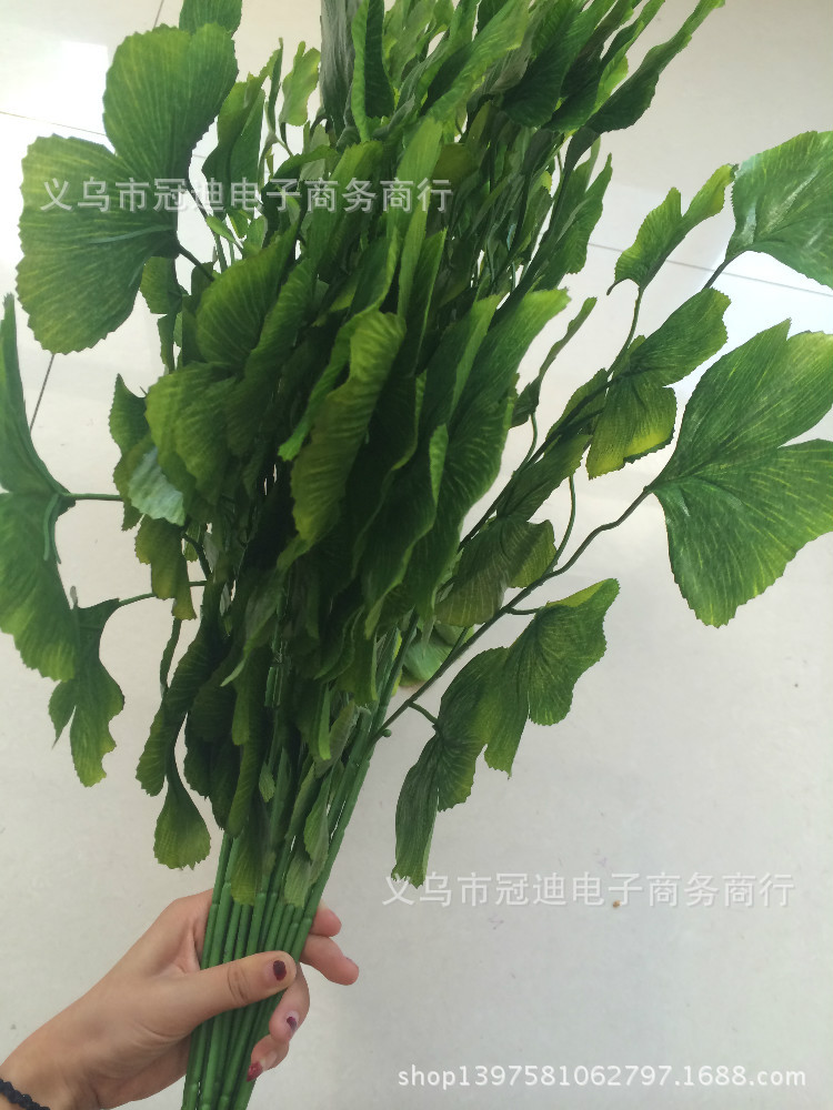 TB2ncrvaXXXXXaRXXXXXXXXXXXX_!!