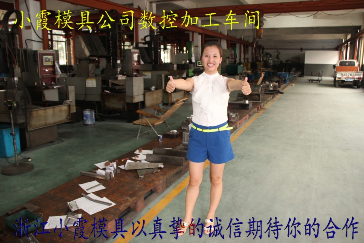 浙江小霞模具车间 (23)