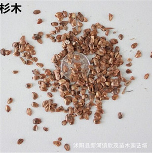 �²�һ��ɼľ�N�� ɼ��N�� ��ɼ ˮɼ ��ɼ����ɼ����ɼľ��N��