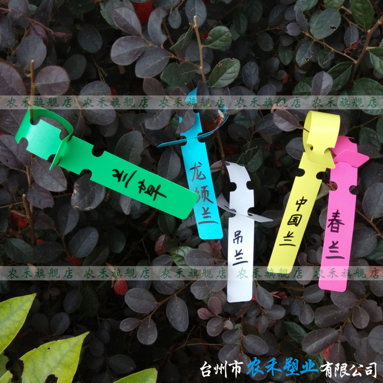 IMG_20141014_111926_副本