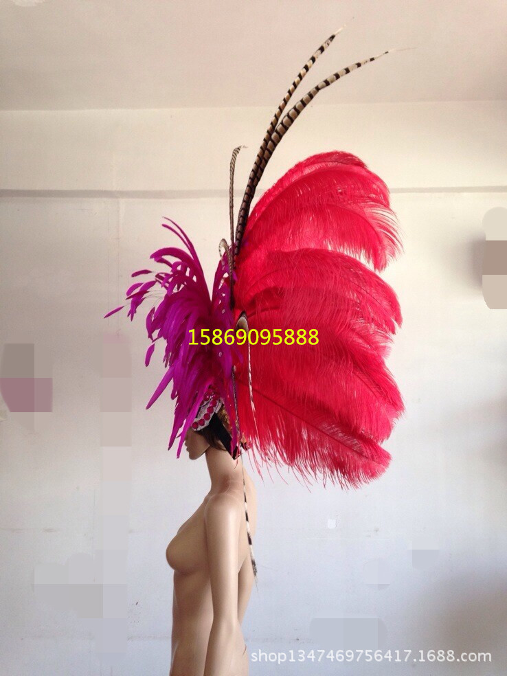 演出服裝羽毛裝飾