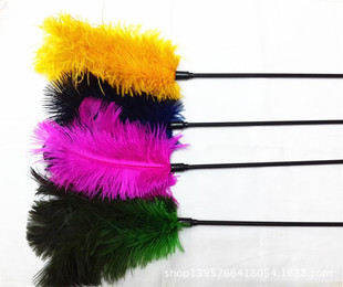 �x����ë�S��ֱ�N�M���r�Bë��ë������؈��������� �{���؈��