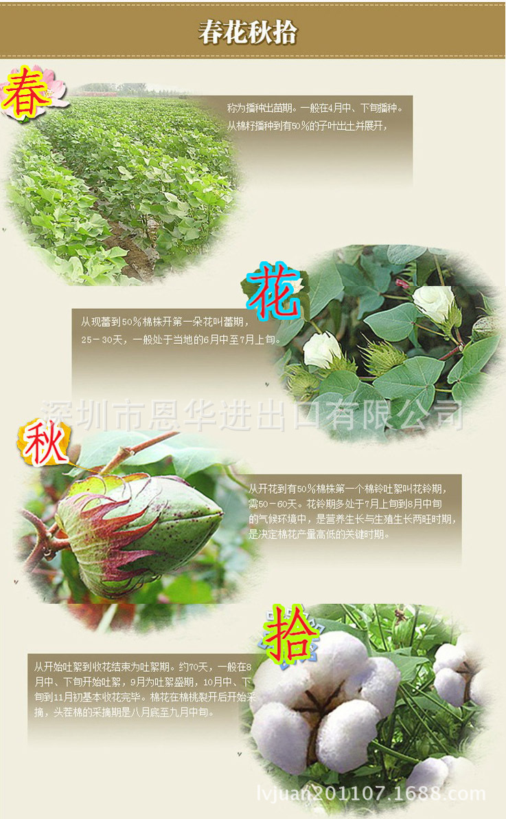 春花秋拾