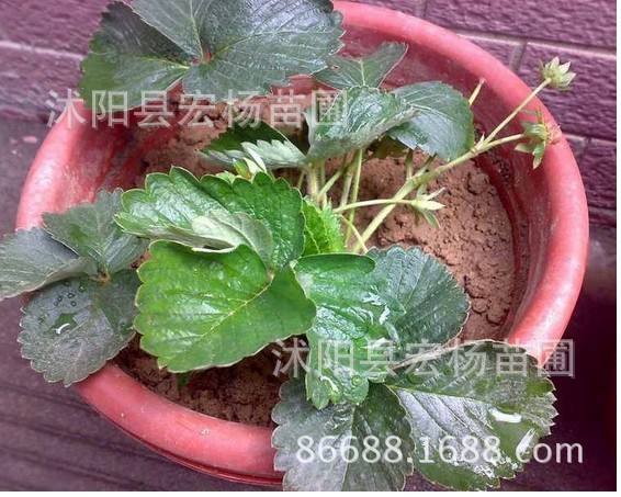 QQ图片20020104135638