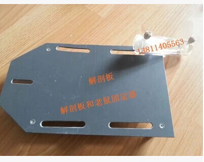 小动物解剖台/青蛙（鼠）解剖台/老鼠解剖板/可调节大白鼠解剖板