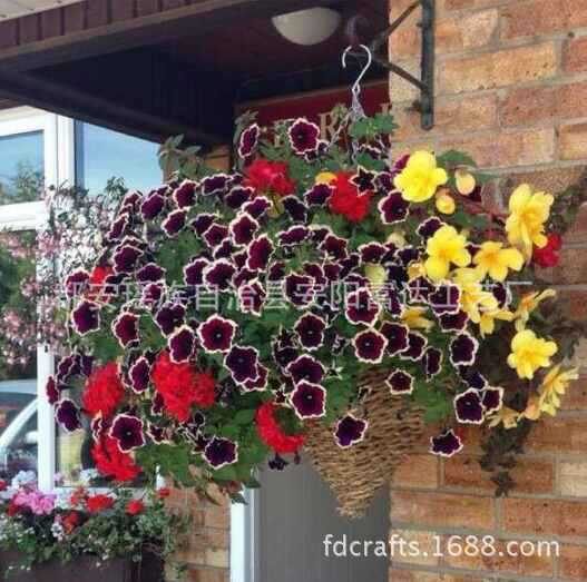 吊籃1
