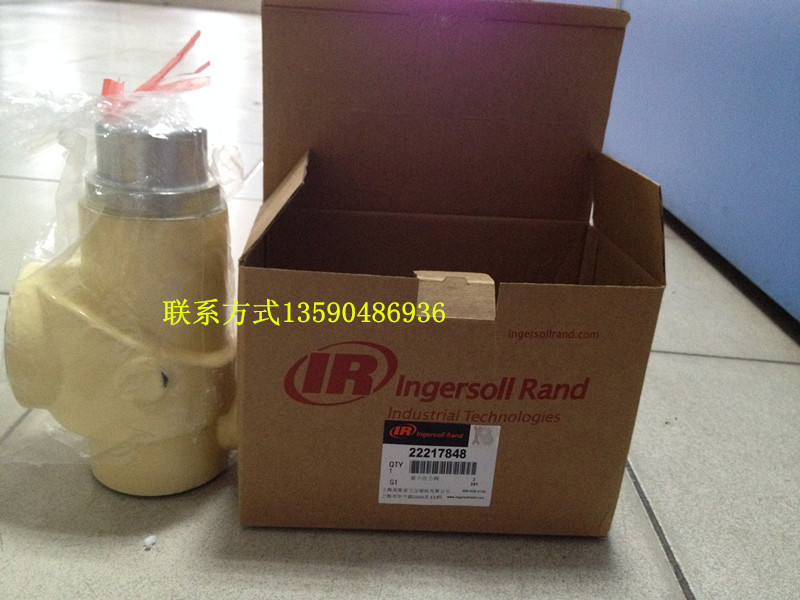 英格索蘭最小壓力閥22217848正麵