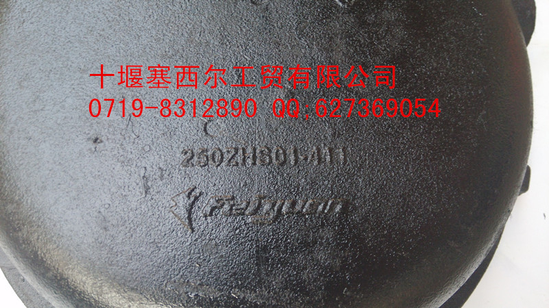 IMG_20141011_155931_副本