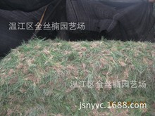 ���l�Ĵ��ɶ����~�����r�� �ɶ��ؽ��������l