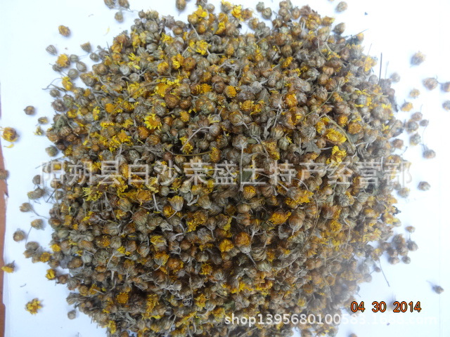 全年 桂林 菊花茶厂家供应新品