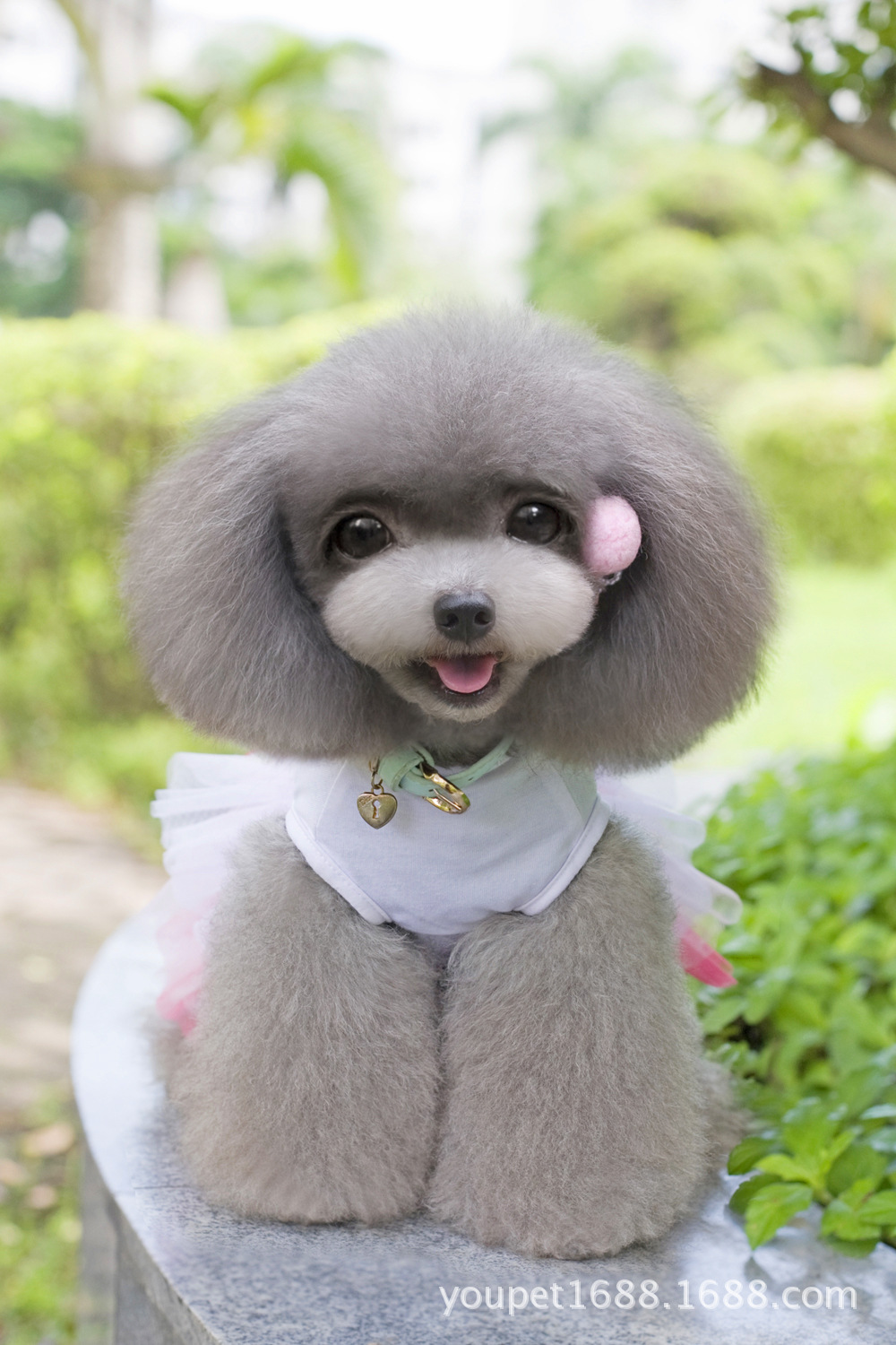 嘴唇纱裙 甜心纱裙