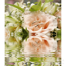 【水中花用英语怎么说】_ 水中花英文单词\/水