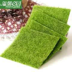 マイクロ風景クリエイティブシミュレーション苔偽苔生態ボトル装飾芝生苔偽白髪苔手作り