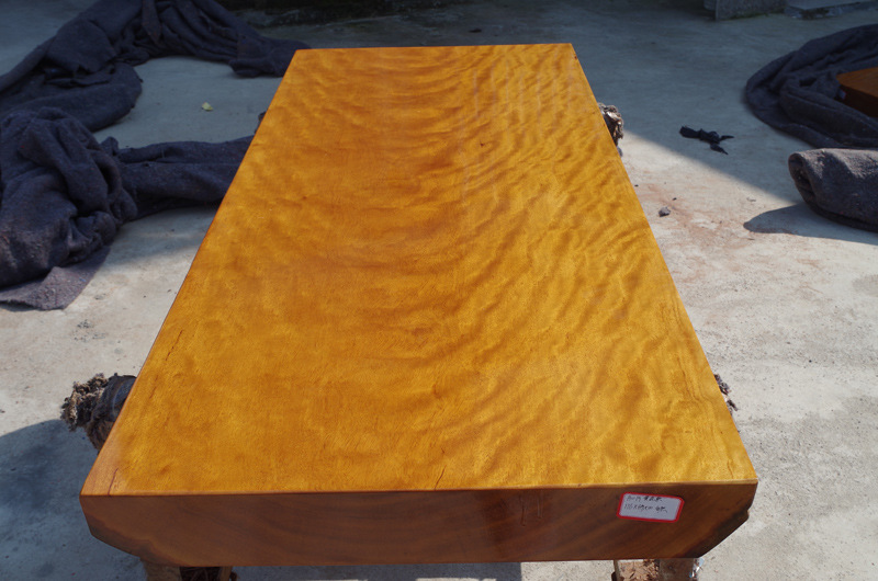 e2404644-6765-4155-909a-fd8a4e