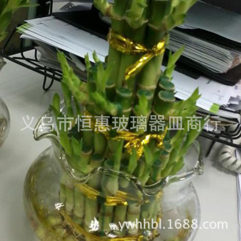 HB花边富贵竹瓶子