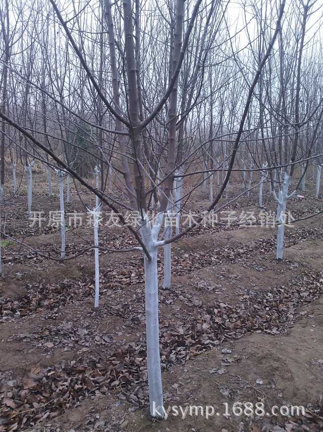 mmexport1416492008842