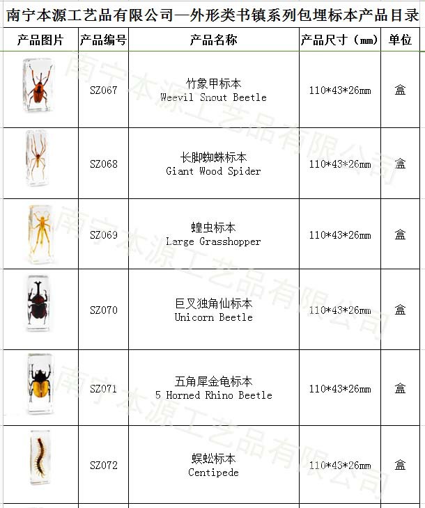 本源公司外形系列包埋標本09