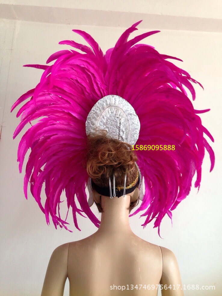 舞臺表演羽毛裝飾