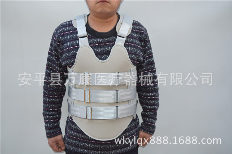（现场塑型）胸腰椎固定器 (2)
