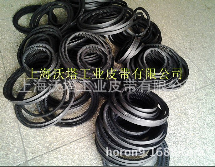 ������ɫ�к��VECTOR�������Ǵ� ���������Ǵ� ZX��