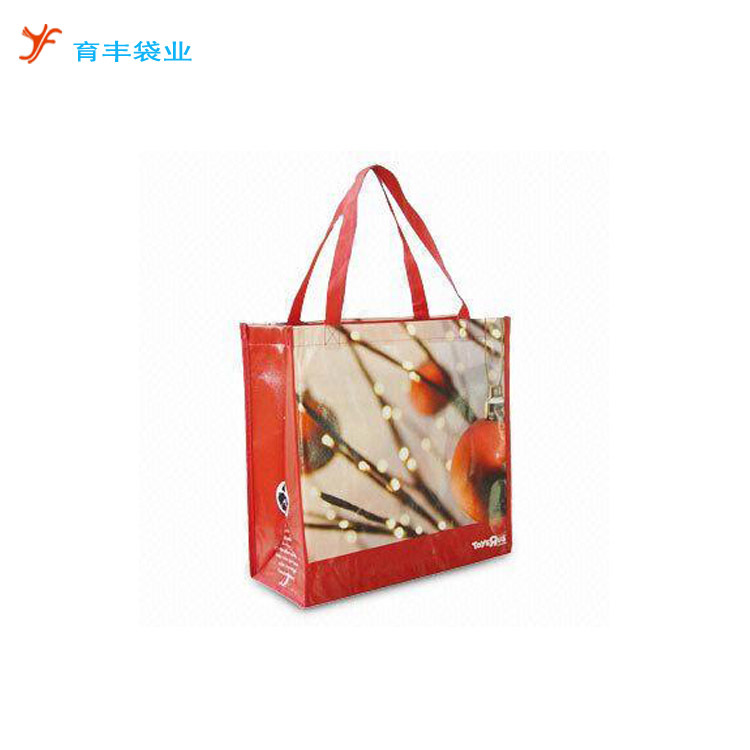 厂家供应棉布购物袋 手提购物无纺布袋 广告腹膜无纺布袋