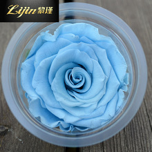 7-8cm���A����������������õ�廨���r�����˹��Y�ﻨ�^���l