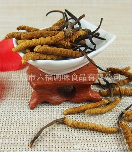 �S�ҹ���   �|�����C    ���x�Ĳ�