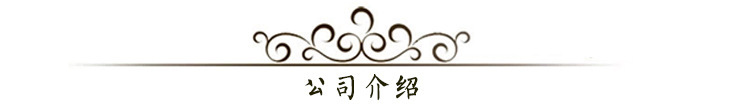 公司介紹