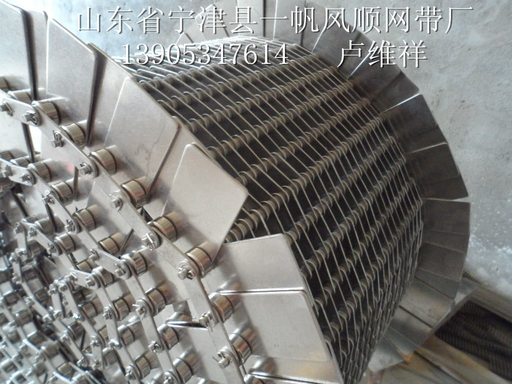 眼镜网带、链片式网带输送带、清洗杀菌烘干输送带!-32