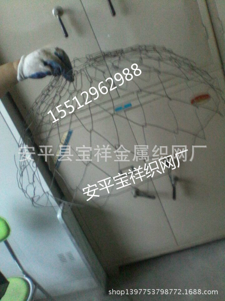 樹根網0125_meitu_3