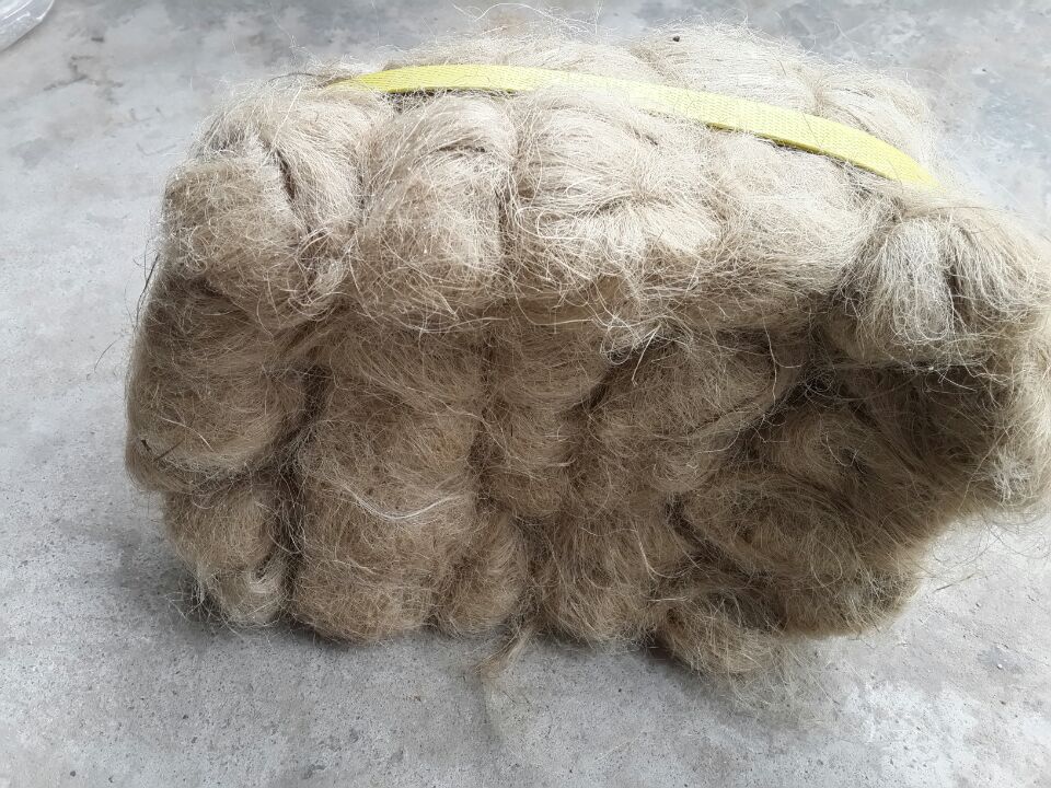 5369EEDD8B6B869DC8321108A31776