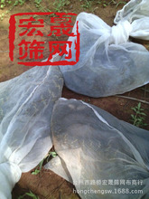 尼龙网袋 禽苗网袋 开口网箱养殖网箱