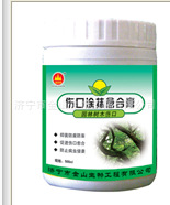 园林养护大树伤口涂抹愈合膏