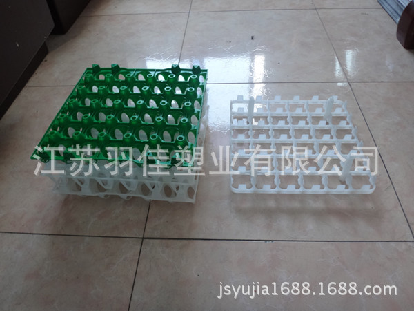 商品蛋托和种蛋托