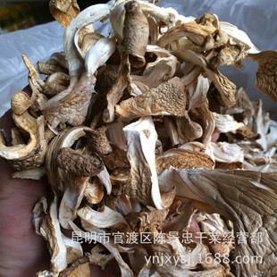 Большое количество грибных грибных шелковых таблеточных таблеток -машкола производится при прямых продажах мяса, толстых и вкусных блюд