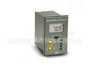 BL983319-1TDS在线迷你控制器