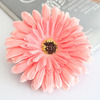 African chrysanthemum hair circles sweet chrysanthemum head flower hair jewelry hair clip clip dual -use sun flower beach