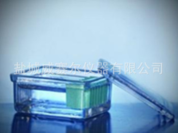 染色缸 10片载玻片染色缸 卧式染色缸