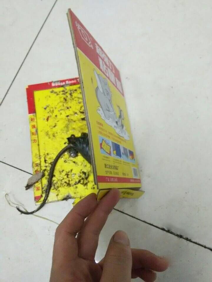 QQ图片20141113091146