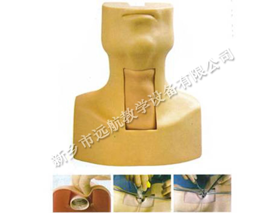 环甲穿刺训练模型_副本