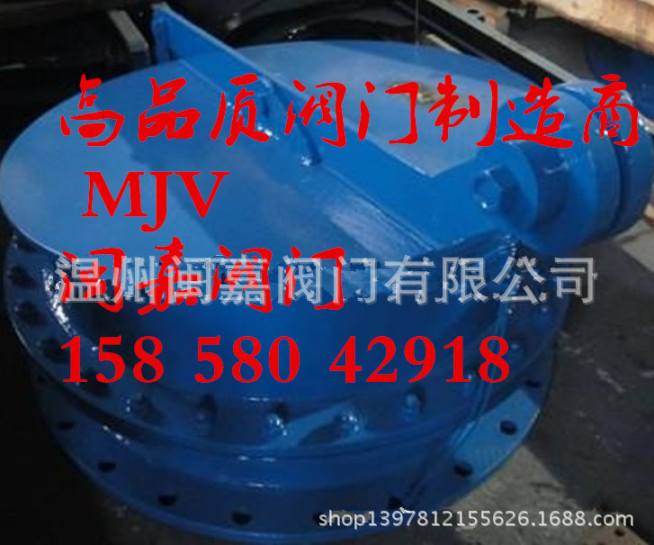 不锈钢泄爆阀/304.316泄爆阀，专业XB-42-1泄爆阀制造商