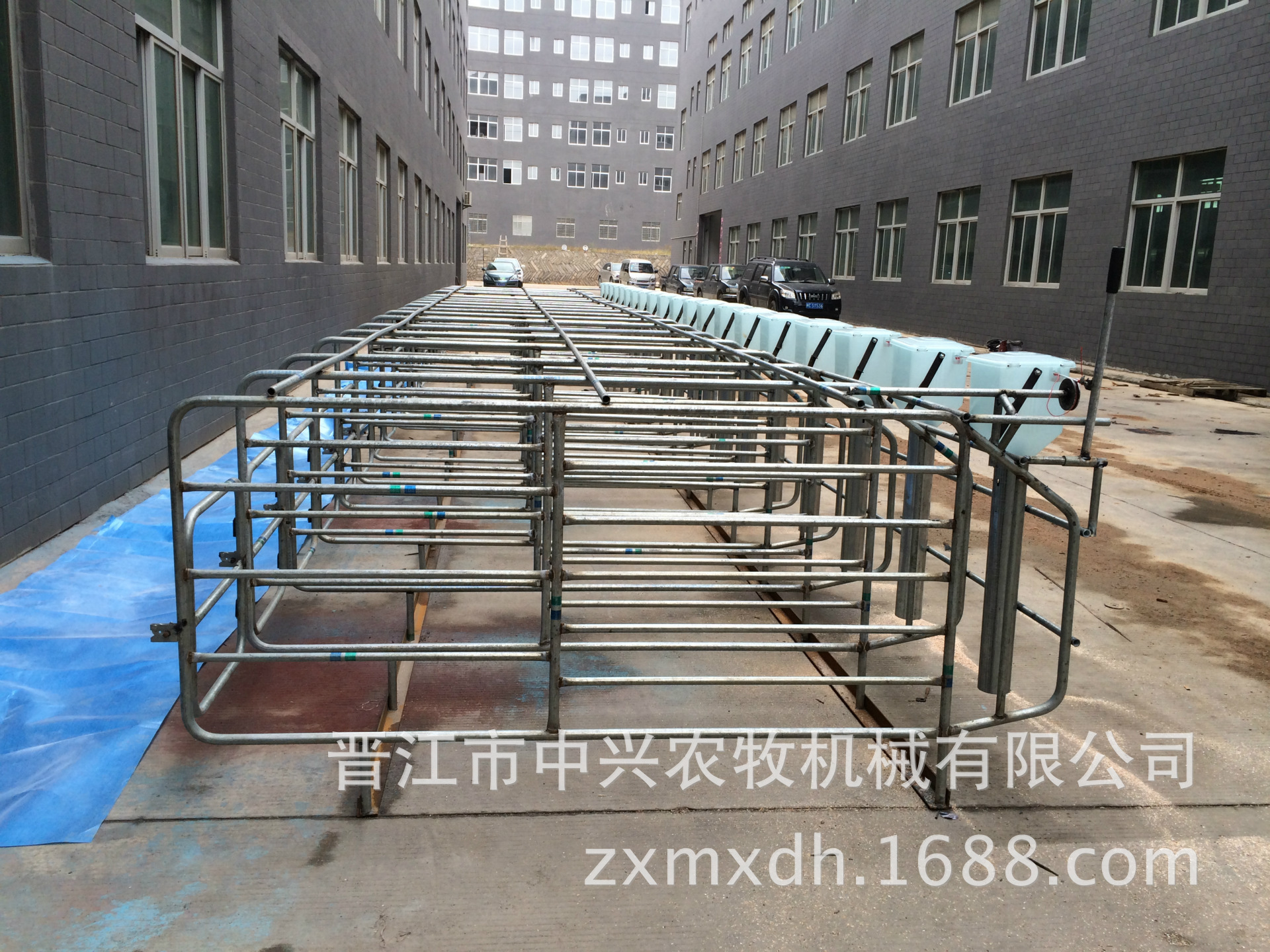 供应ZX-9ZMCT母猪限位栏