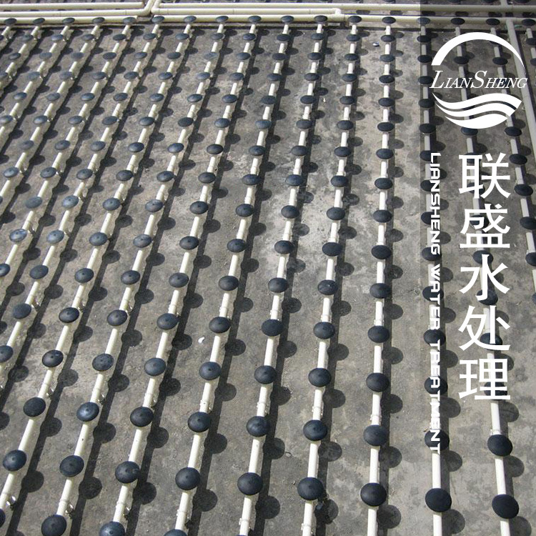 盤式曝氣器安裝現場圖