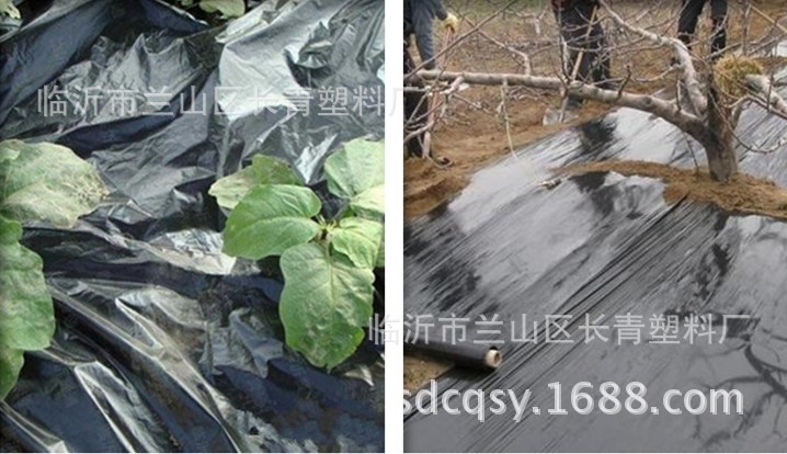 Película de plástico agrícola PE película de plástico agrícola tela de plástico espesado negro película de efecto invernadero película antigoteo pofilm al por mayor