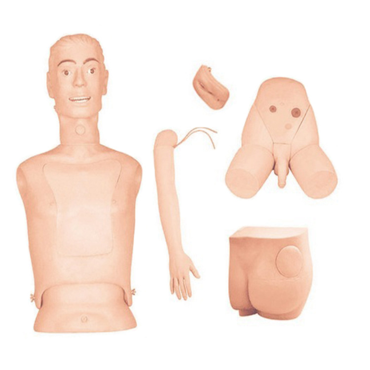 高级基础护理实习操作模型 